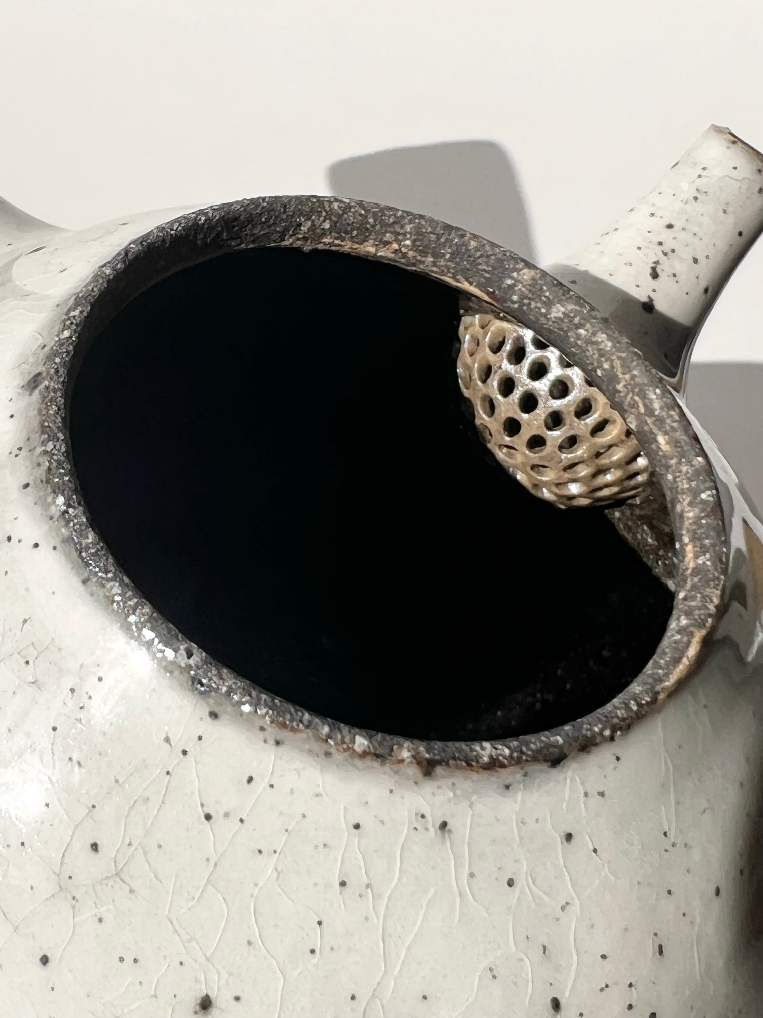 Masashi Tsunokake Kohiki Tea Pot