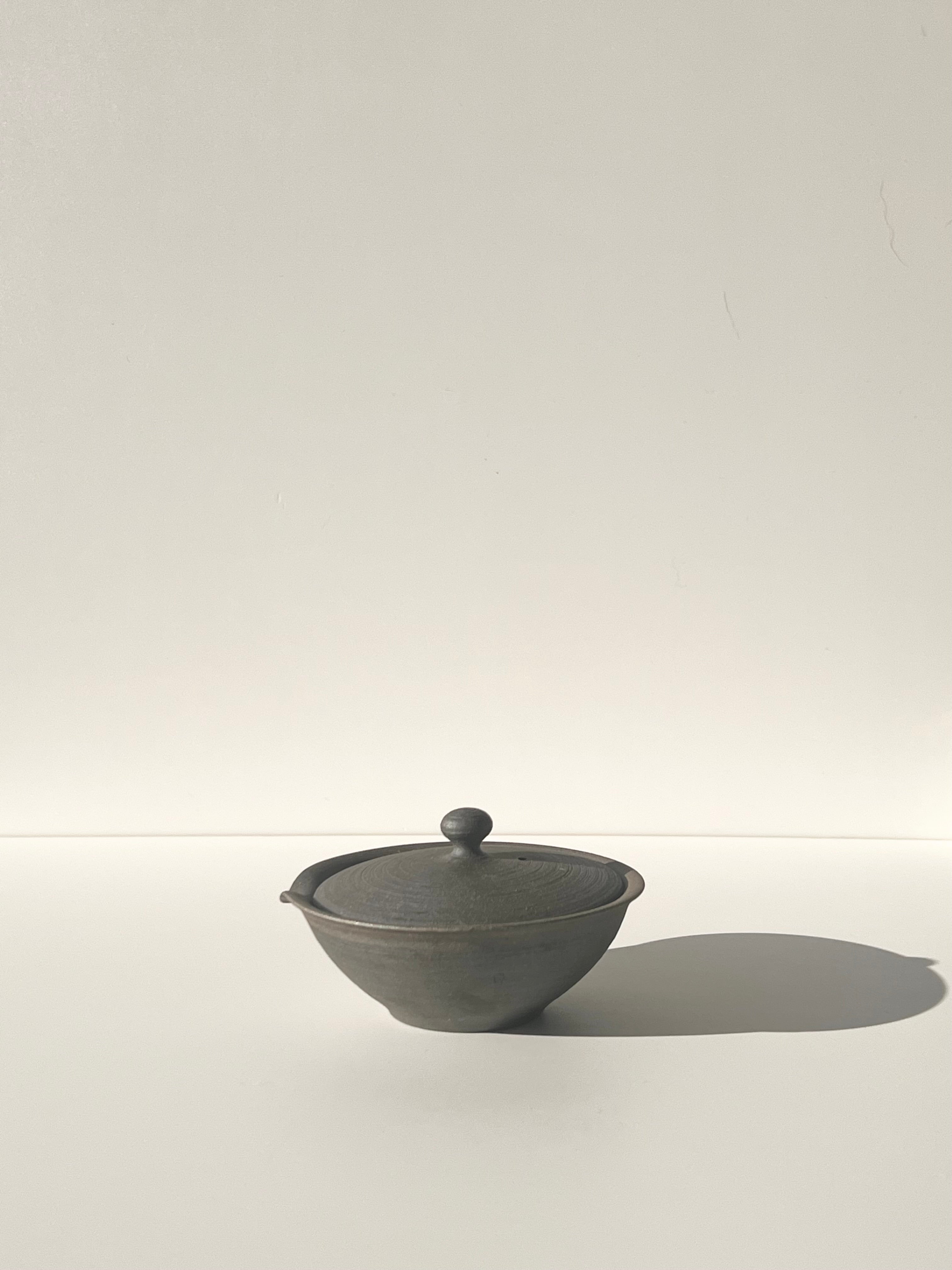 Shiboridashi Clay Tea Pot