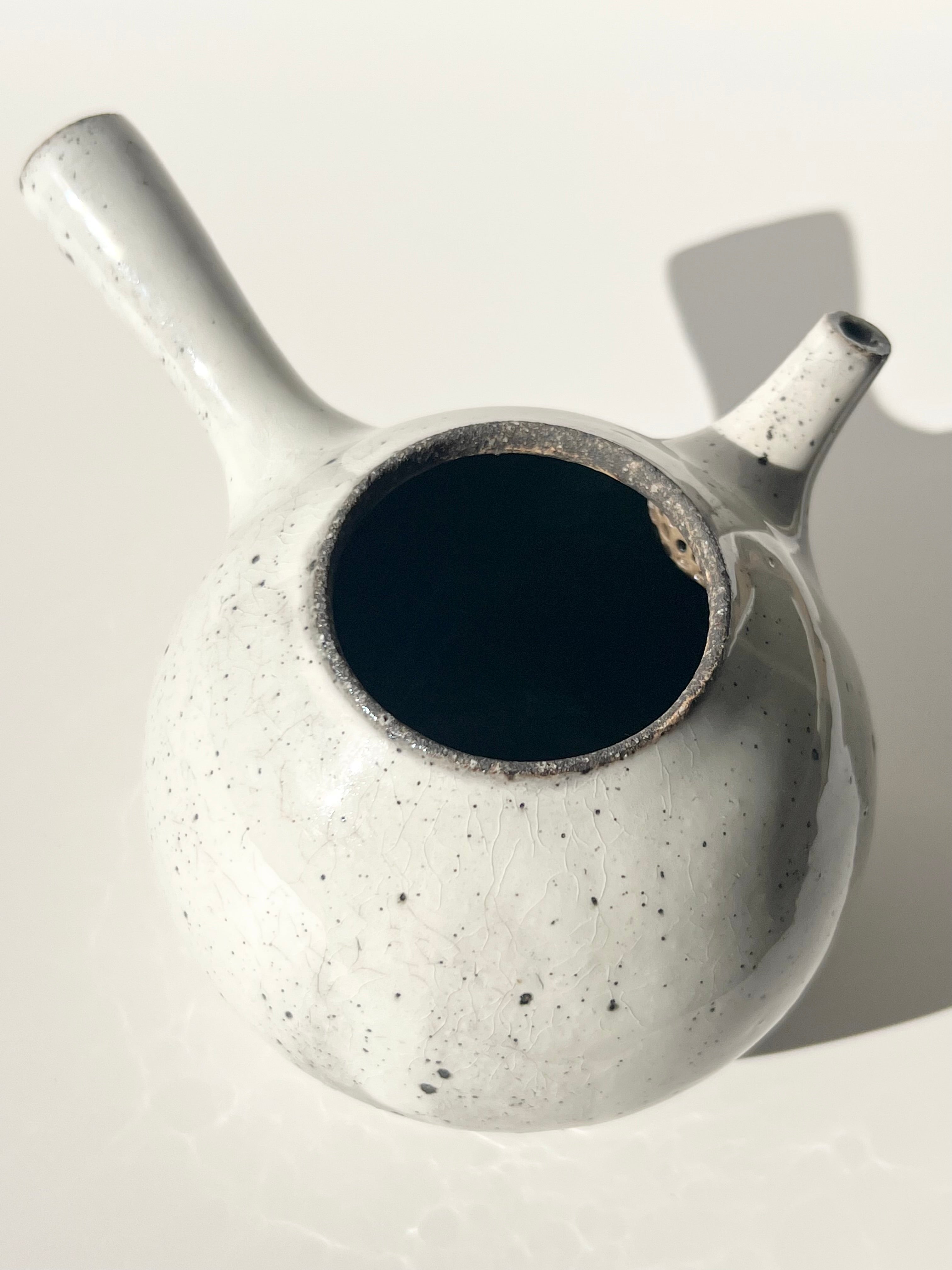 Masashi Tsunokake Kohiki Tea Pot