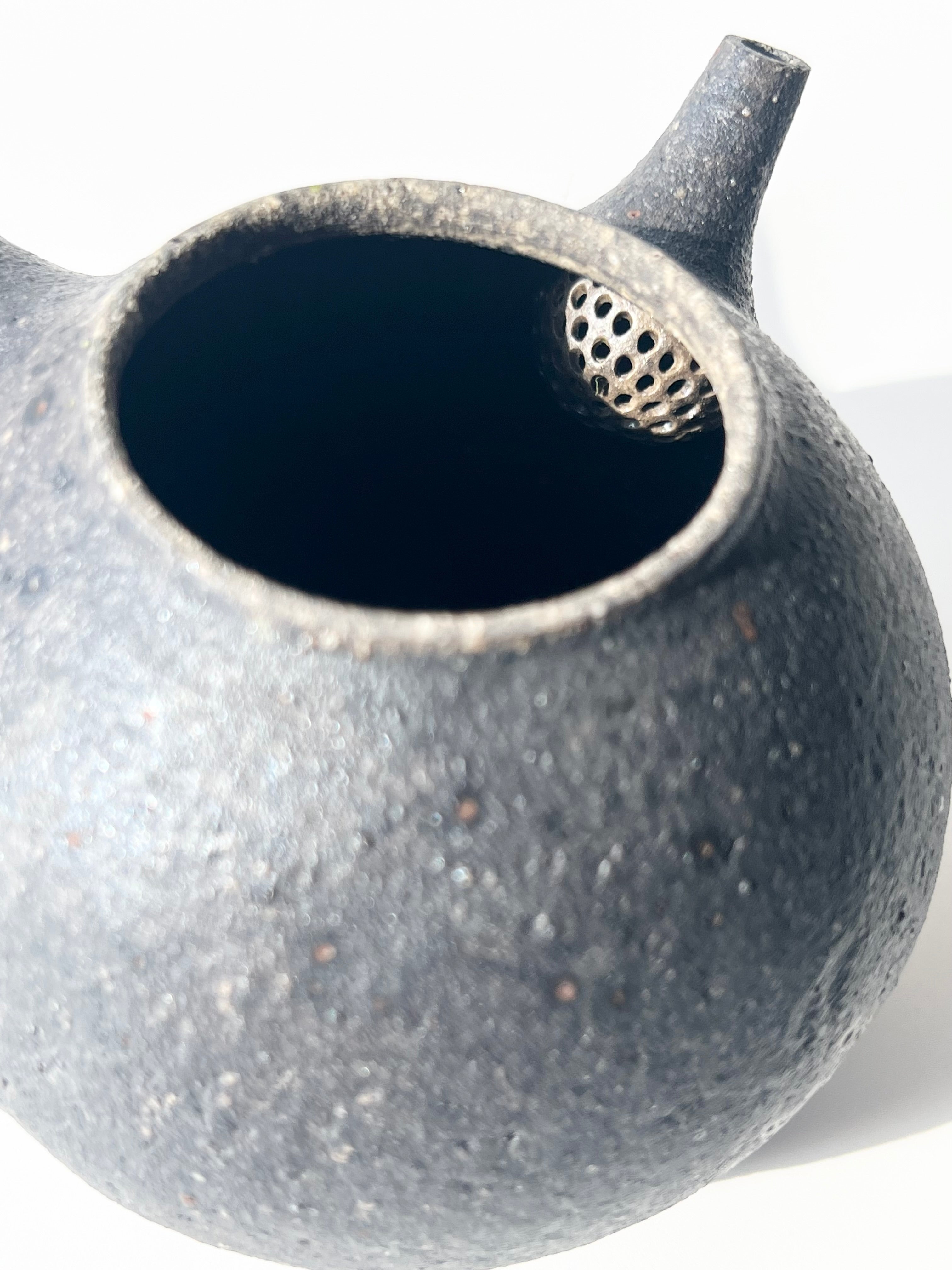 Masashi Tsunokake Tetsuyu Tea Pot