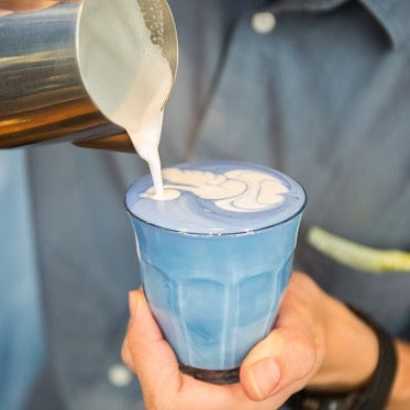 Blue Matcha - Butterfly Pea Flower Powder