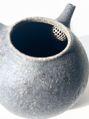 Masashi Tsunokake Tetsuyu Tea Pot