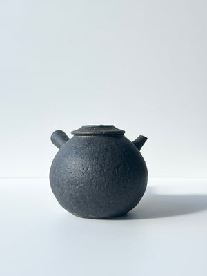 Masashi Tsunokake Tetsuyu Tea Pot