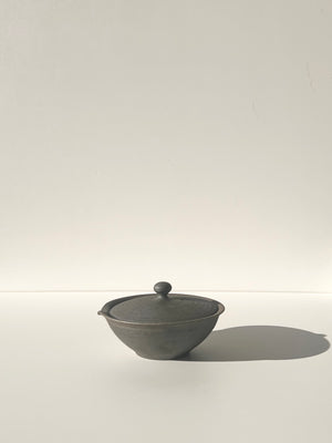 Shiboridashi Clay Tea Pot